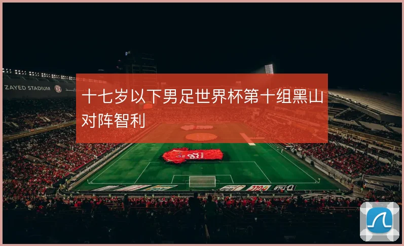 十七岁以下男足世界杯第十组黑山对阵智利