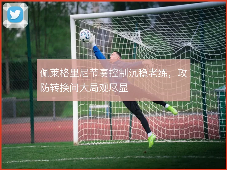 佩莱格里尼节奏控制沉稳老练,攻防转换间大局观尽显