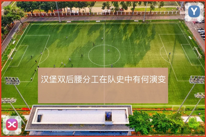 汉堡双后腰分工在队史中有何演变