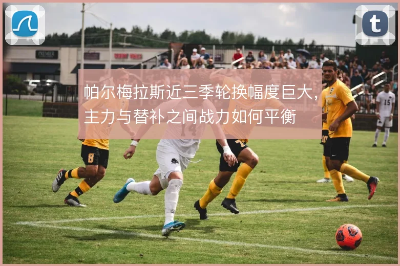 帕尔梅拉斯近三季轮换幅度巨大,主力与替补之间战力如何平衡