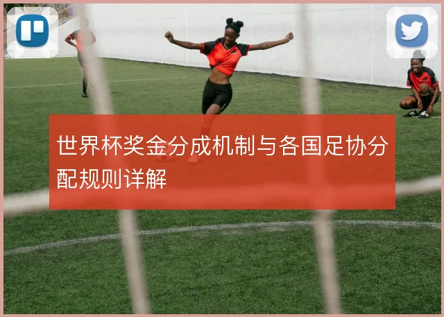 世界杯奖金分成机制与各国足协分配规则详解