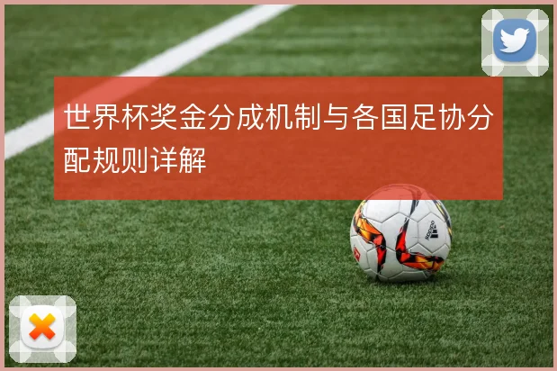 世界杯奖金分成机制与各国足协分配规则详解